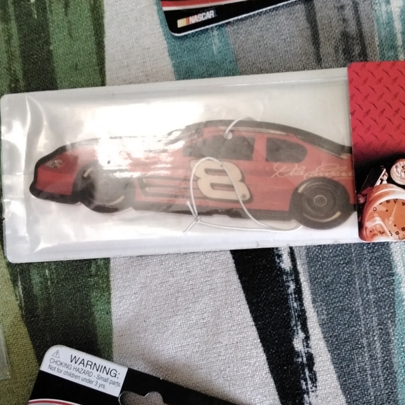 Dale Jr memorabilia - Picture 4 of 9
